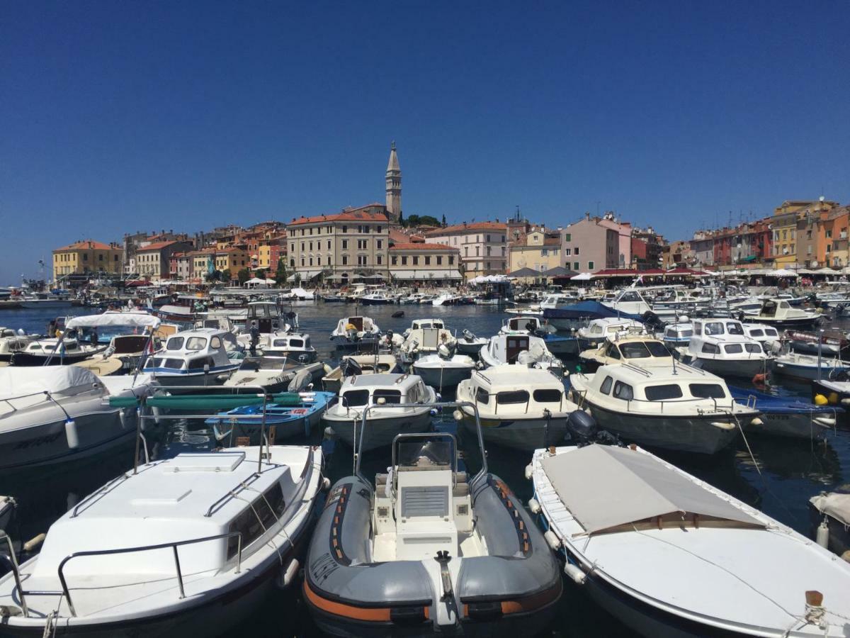 Apartment Villa Baric 4412 Rovinj Eksteriør bilde